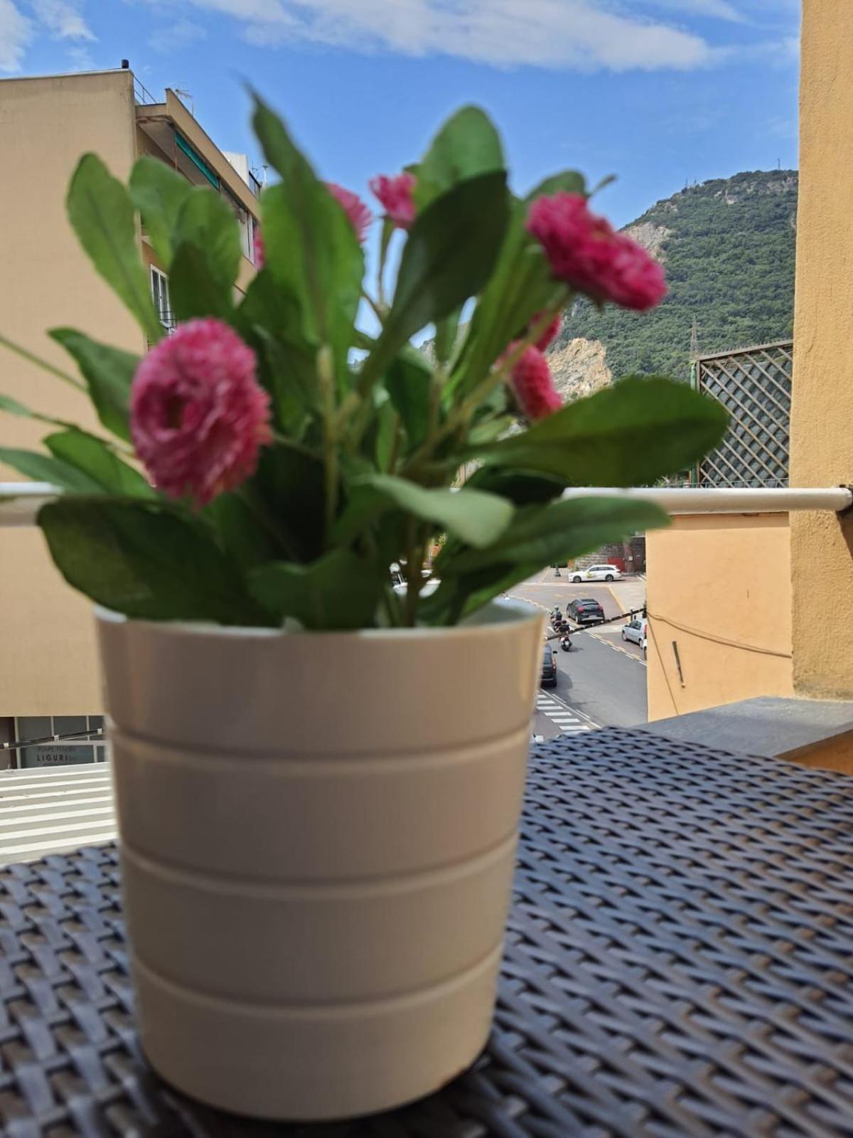 菲纳莱利古雷Casa Pepita公寓 外观 照片